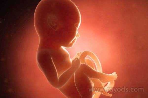 淮安助孕生殖医院代孕产子,「试管放2个胚胎成功高吗」如何知道自己宫腔粘连