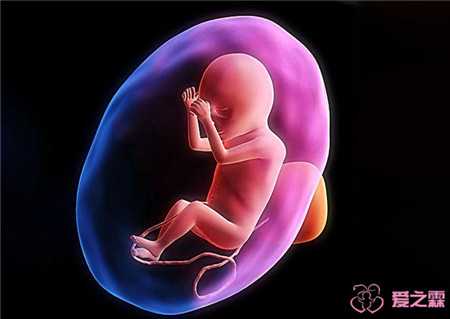 习惯性流产安胎_染色体异常流产了_泰国试管婴儿生龙凤胎存在风险有哪些?